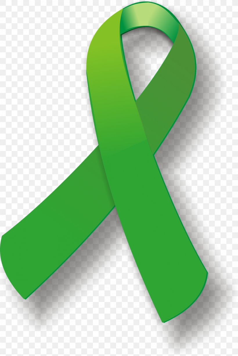 Green Ribbon Awareness Ribbon Cerebral Palsy Pink Ribbon, PNG, 1070x1600px, Green Ribbon, Awareness, Awareness Ribbon, Bipolar Disorder, Cerebral Palsy Download Free