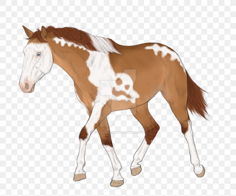 Mane Mustang Foal Stallion Colt, PNG, 1024x853px, Mane, Animal Figure, Bridle, Colt, Dog Harness Download Free
