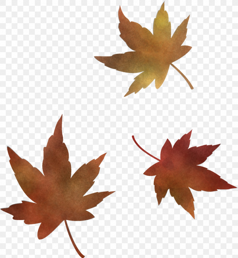 Maple Leaves Autumn Leaves Fall Leaves, PNG, 944x1026px, Maple Leaves, Autumn Leaves, Black Maple, Deciduous, Fall Leaves Download Free