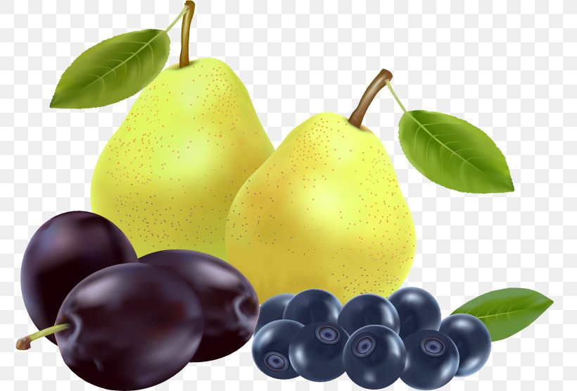 Pear Fruit Auglis, PNG, 775x555px, Pear, Auglis, Berry, Drawing, Food Download Free