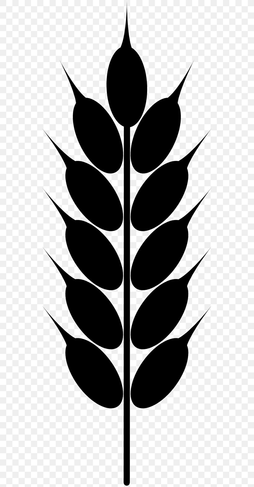 Wheat Grain Clip Art, PNG, 555x1569px, Wheat, Black And White, Branch, Drawing, Flora Download Free