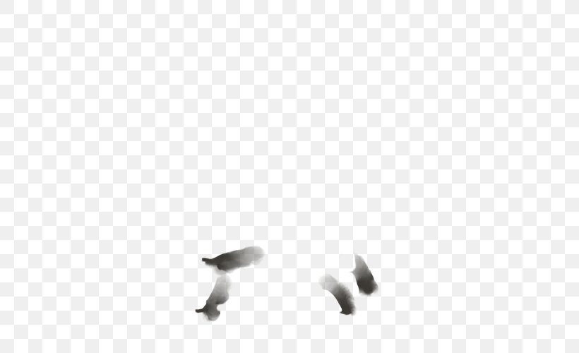 Bird White Beak Desktop Wallpaper Feather, PNG, 640x500px, Bird, Beak, Black, Black And White, Computer Download Free