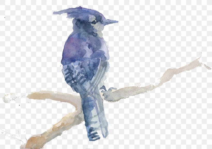 Blue Jay Bird Drawing Clip Art Beak, PNG, 3460x2438px, Blue Jay, Animal, Art, Beak, Bird Download Free