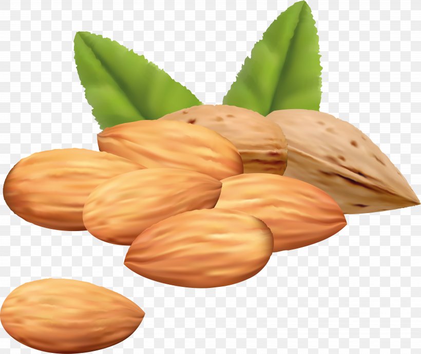 Mixed Nuts Clip Art, PNG, 7193x6067px, Mixed Nuts, Almond, Commodity, Drawing, Food Download Free