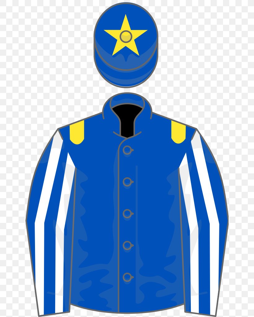 Thoroughbred 2000 Guineas Stakes Racing Post Trophy Epsom Derby Sussex Stakes, PNG, 656x1024px, 2000 Guineas Stakes, Thoroughbred, Blue, Cobalt Blue, Colt Download Free