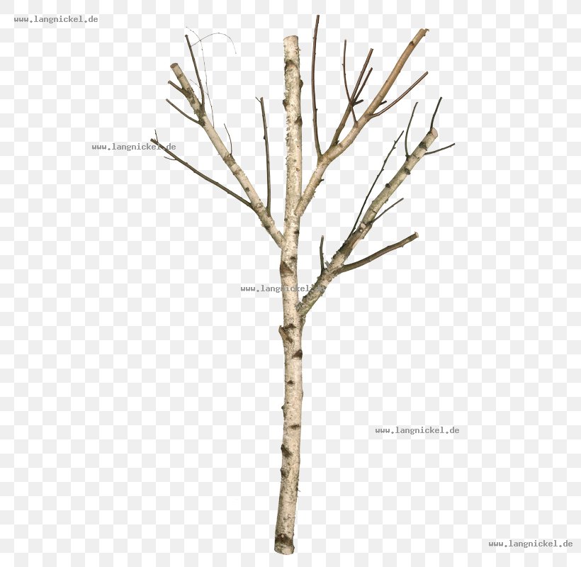 Birch Branch Living Room Furniture Interior Design Services, PNG, 800x800px, Birch, Apartment, Artistic Inspiration, Bedroom, Branch Download Free