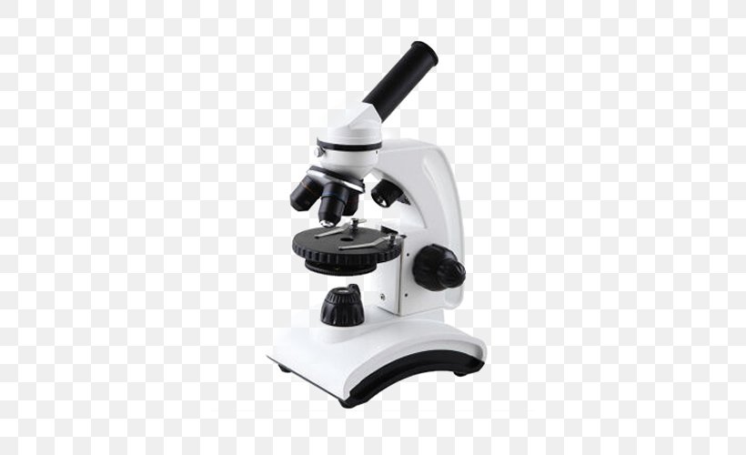 Electron Microscope Science, PNG, 500x500px, Microscope, Art Image File Format, Biology, Electron, Electron Microscope Download Free
