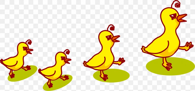 Duck Chicken Rooster, PNG, 1902x894px, Duck, Animation, Beak, Bird, Cartoon Download Free