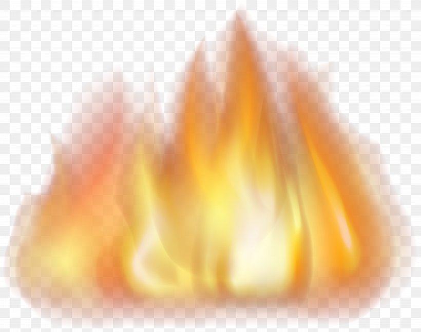 Flame Fire Clip Art, PNG, 8000x6320px, Flame, Art, Close Up, Combustion, Fire Download Free