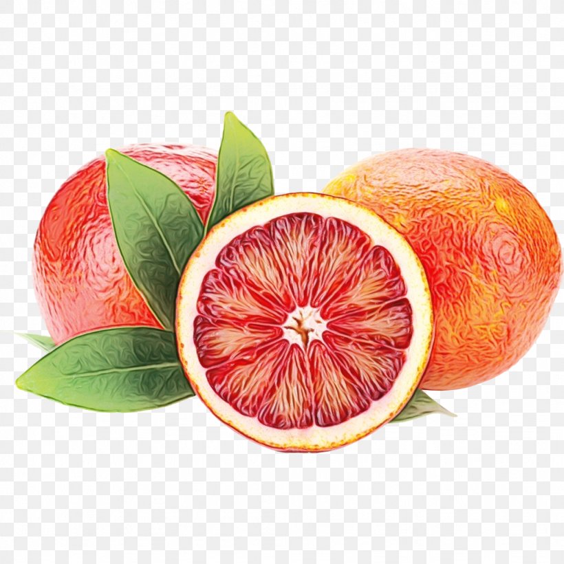 Olive Oil, PNG, 1024x1024px, Blood Orange, Accessory Fruit, Balsamic Vinegar, Bitter Orange, Cara Cara Navel Download Free