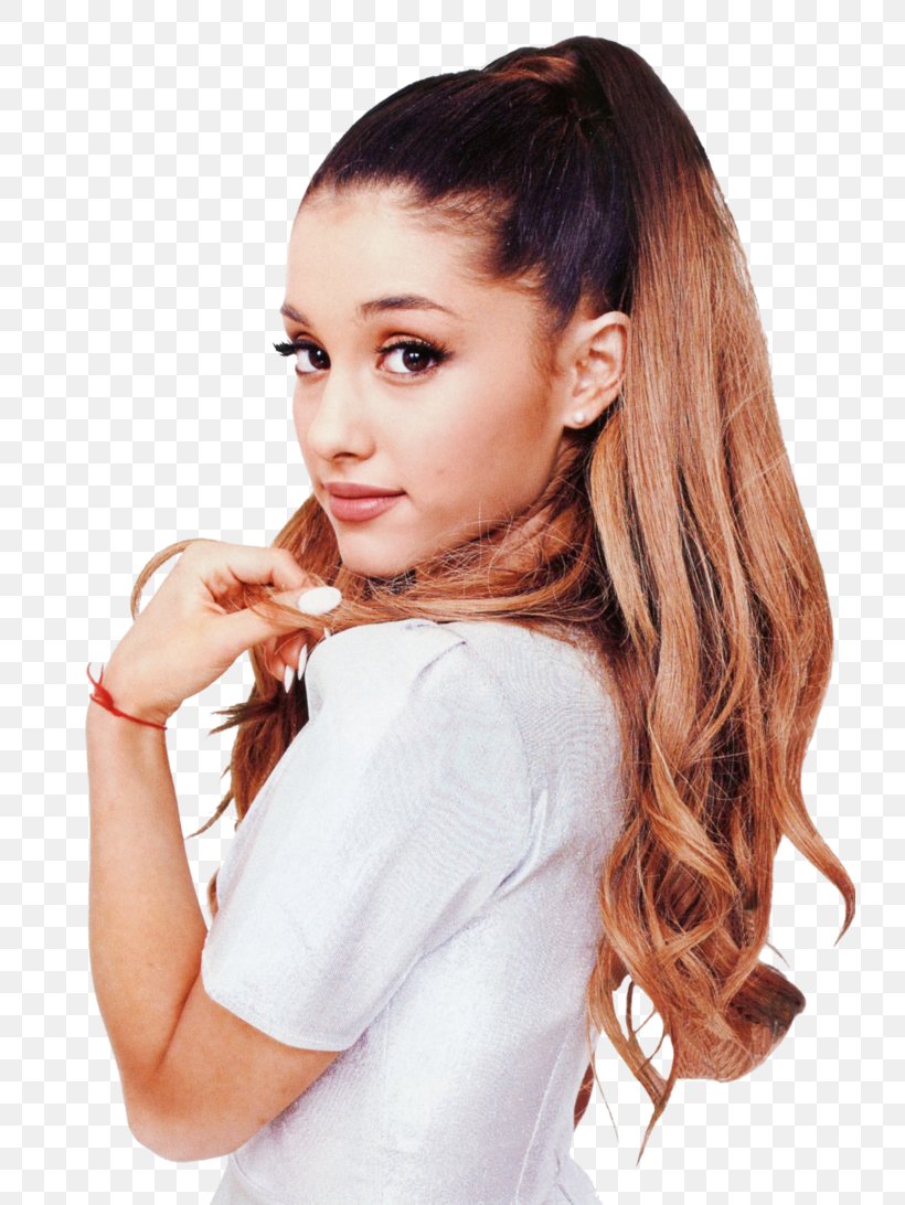 Ariana Grande Victorious Celebrity The Way, PNG, 731x1092px, Watercolor, Cartoon, Flower, Frame, Heart Download Free