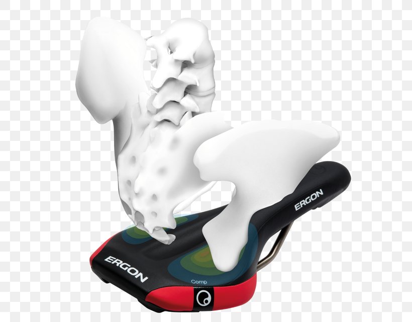 Bicycle Saddles Ischial Tuberosity Sitting, PNG, 640x640px, Bicycle Saddles, Bicycle, Bikeradar, Bone, Cycling Download Free