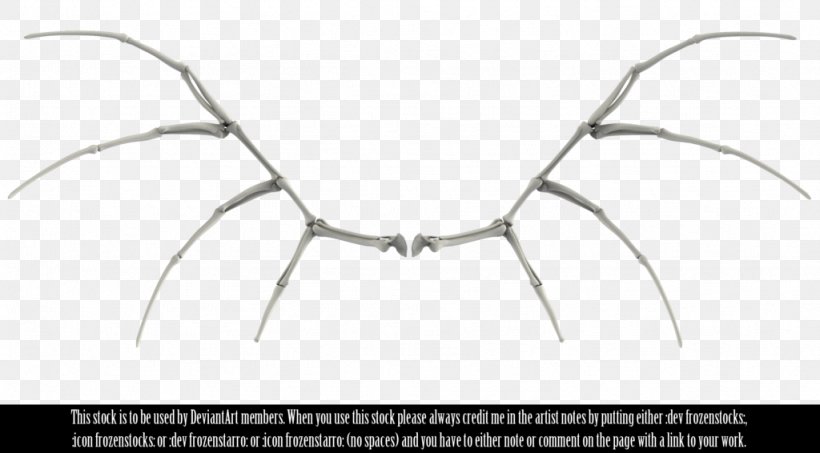 Bone Human Skeleton Skull Wing, PNG, 1024x566px, Bone, Anatomy, Art, Bat Wing Development, Bird Download Free