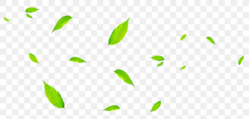 Leaf Green Poster Color Branch, PNG, 2083x998px, Leaf, Branch, Color, Green, Plant Stem Download Free