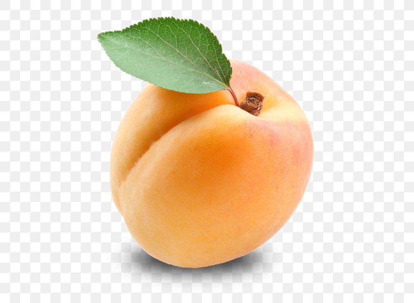 Apricot Kernel Fruit Amygdalin, PNG, 600x600px, Apricot, Amygdalin, Apple, Apricot Kernel, Calorie Download Free