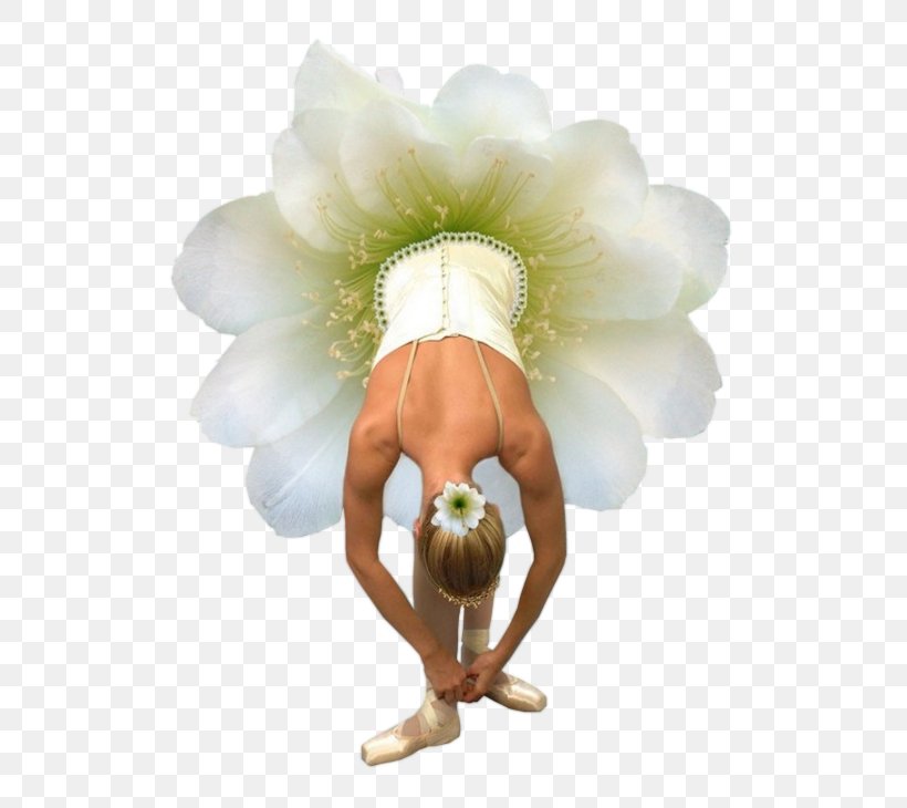 Ballet Dancer Ballet Dancer Tutu Dance Dresses, Skirts & Costumes, PNG, 578x730px, Watercolor, Cartoon, Flower, Frame, Heart Download Free
