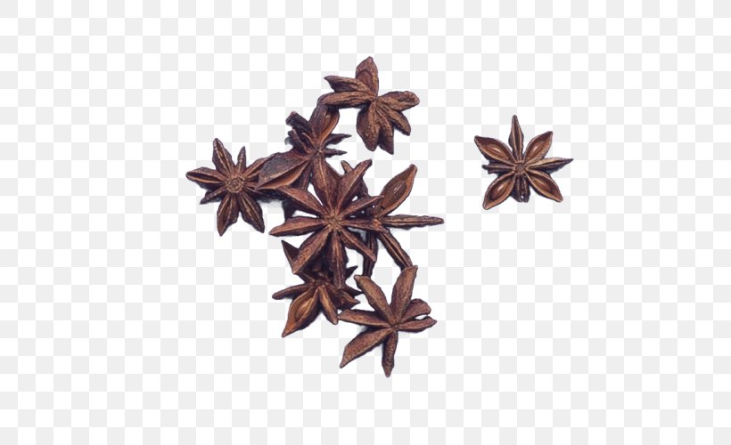 Spice Star Anise Flavor Stewing, PNG, 500x500px, Spice, Anise, Beef, Cinnamon, Flavor Download Free