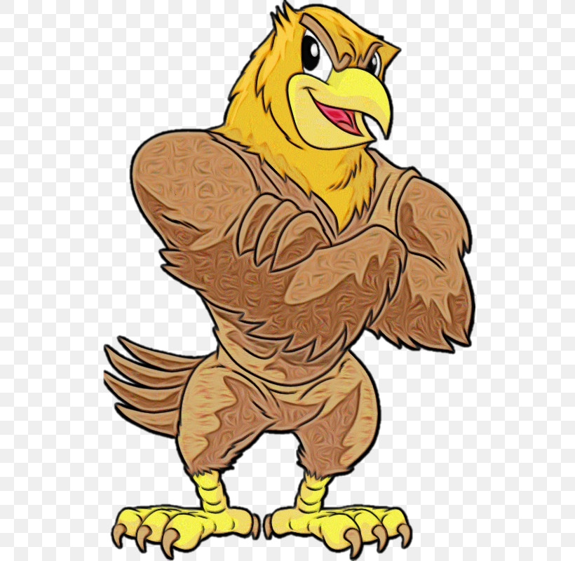 Cartoon Bird Eagle Beak Hawk, PNG, 536x800px, Watercolor, Beak, Bird, Bird Of Prey, Cartoon Download Free