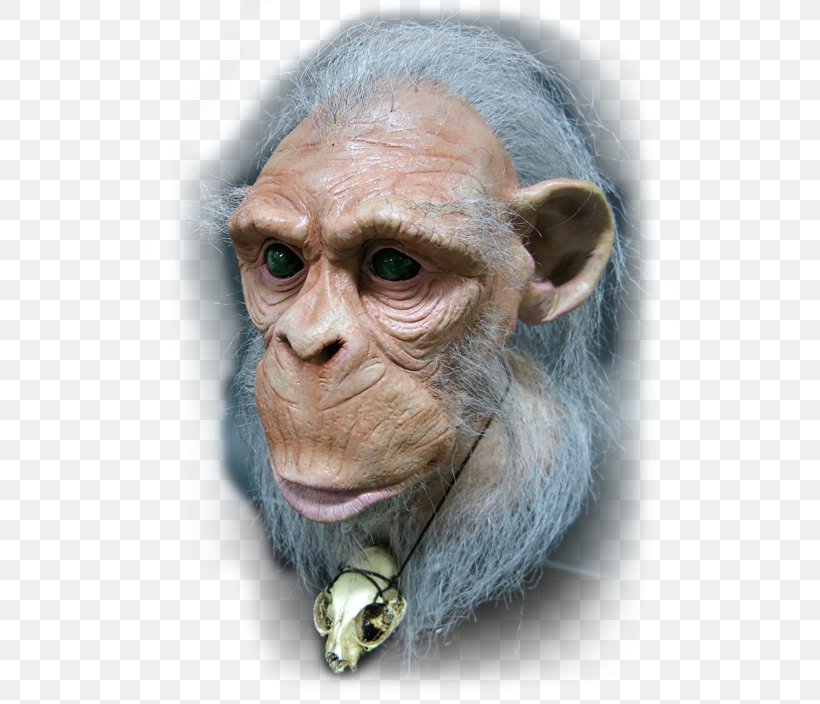 Common Chimpanzee Homo Sapiens Puppet Monkey Animatronics, PNG, 528x704px, Common Chimpanzee, Animal, Animatronics, Bird, Chimpanzee Download Free