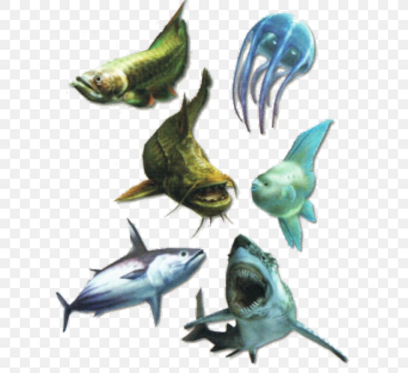 Monster Hunter Tri Monster Hunter Generations Monster Hunter Freedom Unite Monster Hunter 3 Ultimate, PNG, 600x751px, Monster Hunter Tri, Cartilaginous Fish, Fauna, Felyne, Fin Download Free