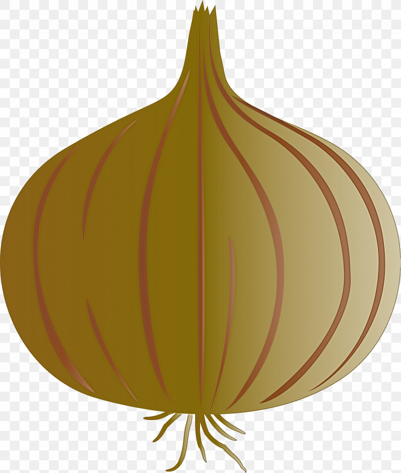 Onion, PNG, 2546x3000px, Onion, Biology, Christmas Day, Christmas Ornament, Christmas Ornament M Download Free