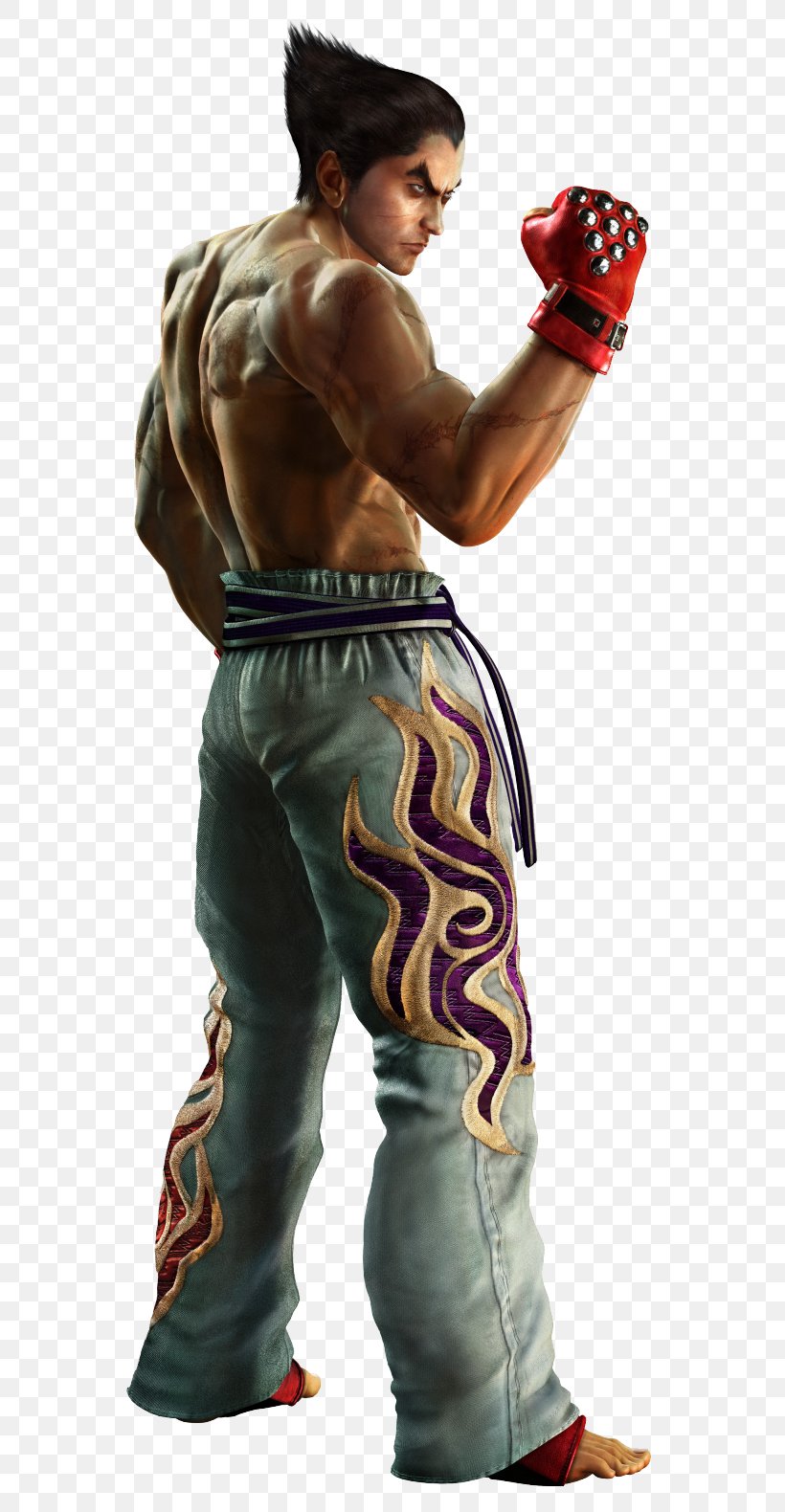 Tekken 5: Dark Resurrection Tekken 4 Tekken 6 Kazuya Mishima, PNG, 594x1580px, Tekken 5, Action Figure, Aggression, Bodybuilder, Boxing Glove Download Free