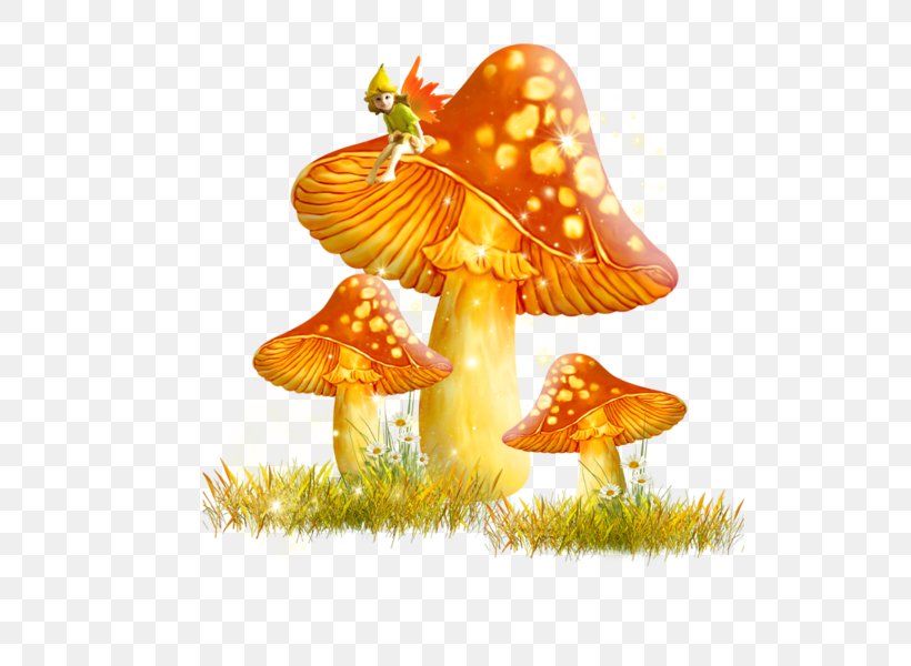 Fungus Mushroom Digital Image Clip Art, PNG, 600x600px, Fungus, Amanita Muscaria, Data Compression, Decoupage, Digital Image Download Free