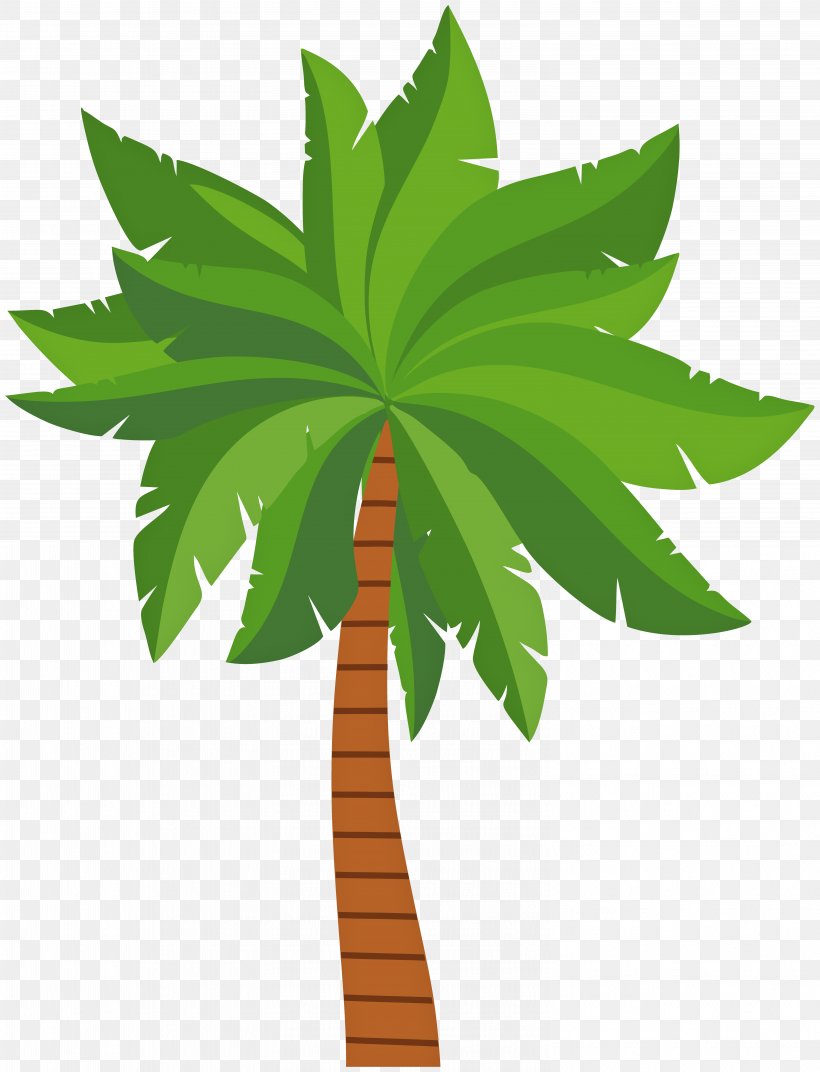 Palm Trees Clip Art Image Hyophorbe Lagenicaulis, PNG, 6117x8000px, Palm Trees, Arecales, Art, Botany, Coconut Download Free