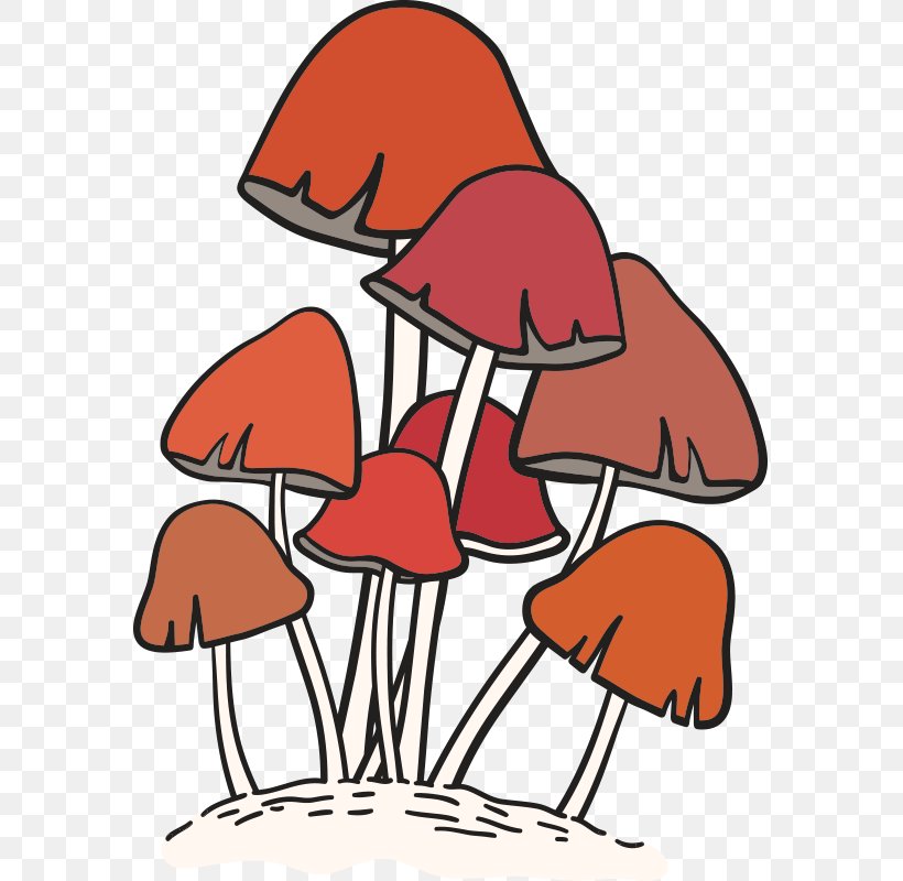 Edible Mushroom Fungus Euclidean Vector Food, PNG, 800x800px, Mushroom, Art, Artwork, Boletus Edulis, Cartoon Download Free