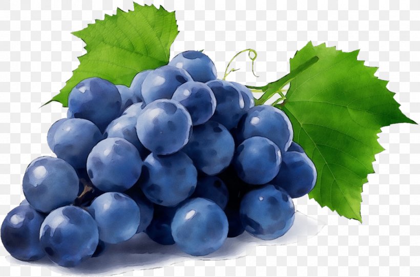 Grape Grape Leaves Seedless Fruit Fruit Grapevine Family, PNG, 1049x693px, Watercolor, Berry, Bilberry, Blueberry, Food Download Free