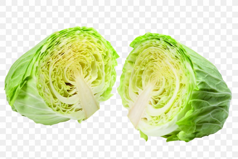 Napa Cabbage Vegetable Nutrition Food, PNG, 2180x1453px, Cabbage, Brassica, Brassica Oleracea, Budi Daya, Cabbage Family Download Free
