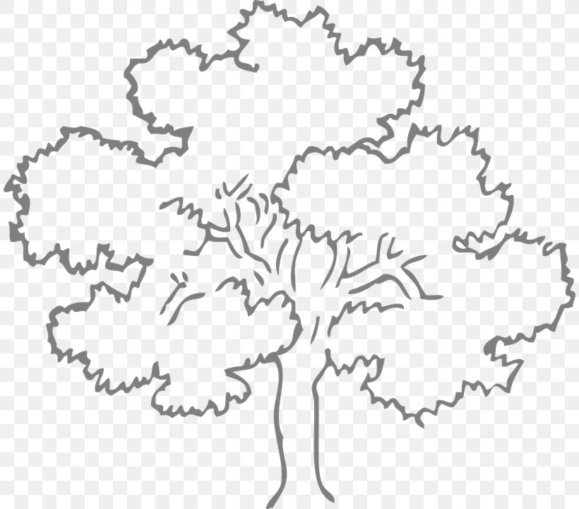 Oak Tree Drawing Coloring Book Clip Art, PNG, 810x720px, Oak, Area, Arecaceae, Banyan, Black And White Download Free