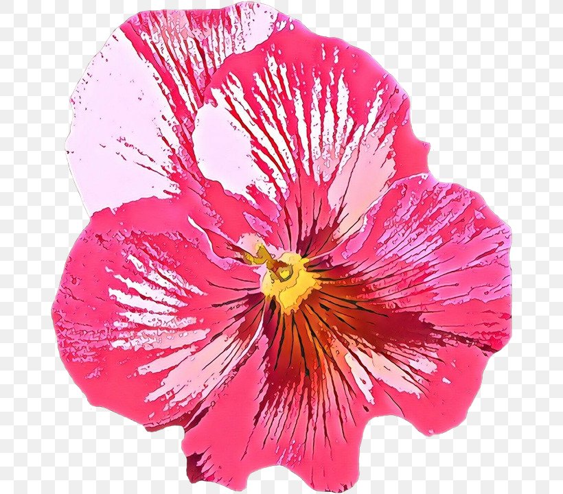 Pink Flower Cartoon, PNG, 676x720px, Pansy, Annual Plant, Family, Flower, Geranium Download Free