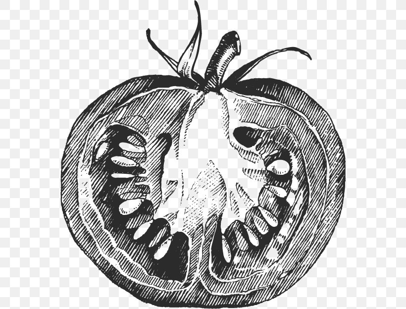 Pizza Tomato Purxe9e Mashed Potato, PNG, 576x624px, Pizza, Arthropod, Black And White, Cooking, Drawing Download Free