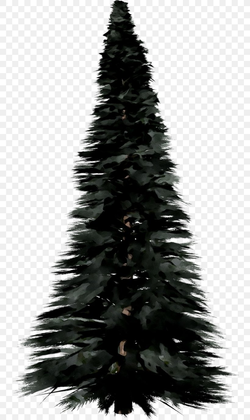 Spruce Christmas Tree Christmas Ornament Christmas Day Fir, PNG, 752x1379px, Spruce, Balsam Fir, Black, Blackandwhite, Branch Download Free