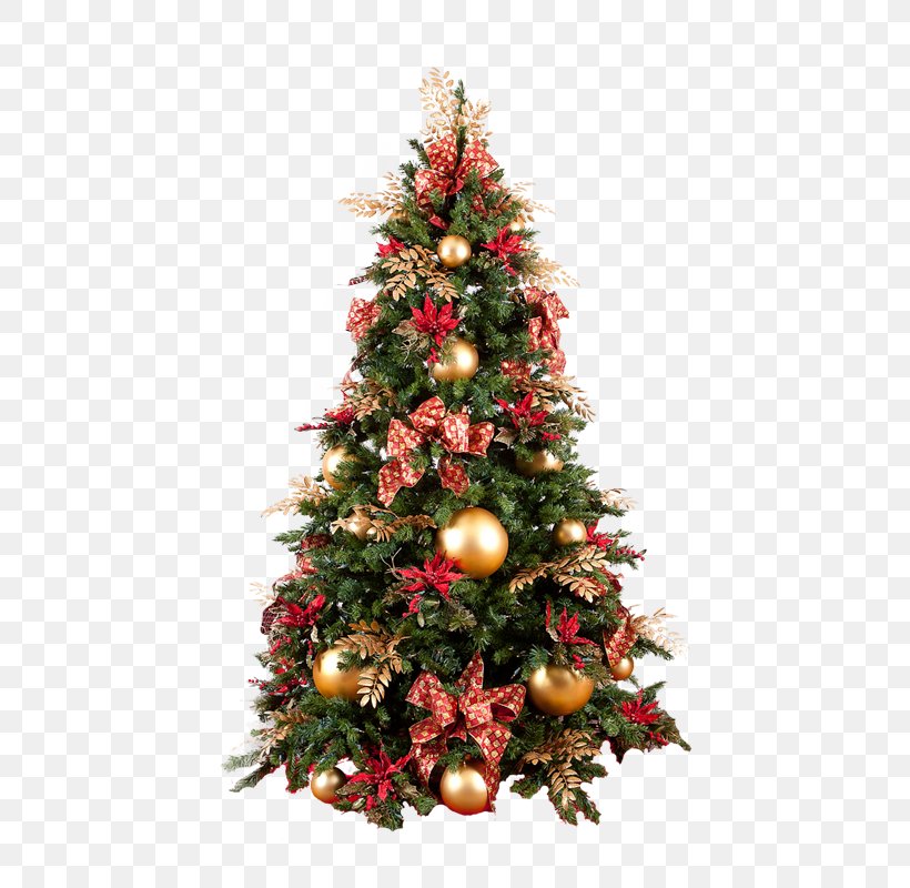 Christmas Tree Christmas Decoration, PNG, 800x800px, Christmas, Christmas Decoration, Christmas Ornament, Christmas Stocking, Christmas Tree Download Free