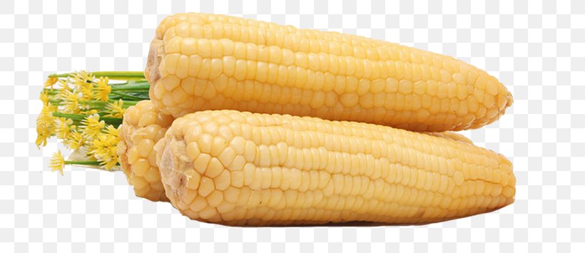 Corn On The Cob Waxy Corn Sweet Corn, PNG, 750x355px, Corn On The Cob, Commodity, Corn Kernel, Corn Kernels, Corncob Download Free
