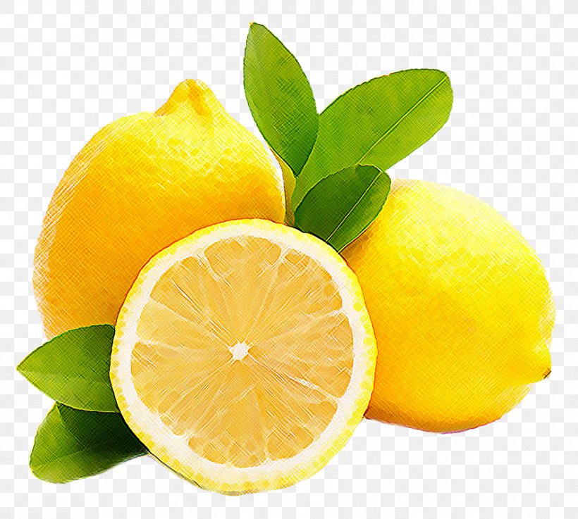 Lemon Clip Art, PNG, 890x800px, Lemon, Bitter Orange, Citric Acid, Citron, Citrus Download Free