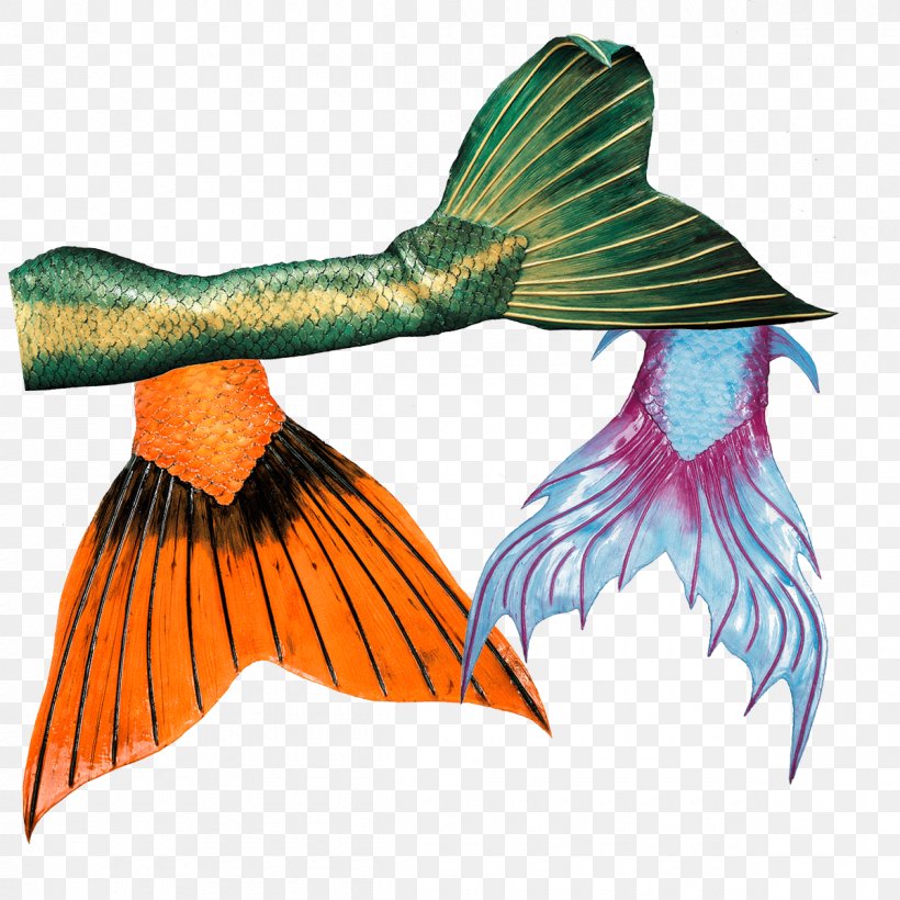 Mermaid Merman Tail Ariel, PNG, 1200x1200px, Mermaid, Ariel, Beak, Bird, Fauna Download Free