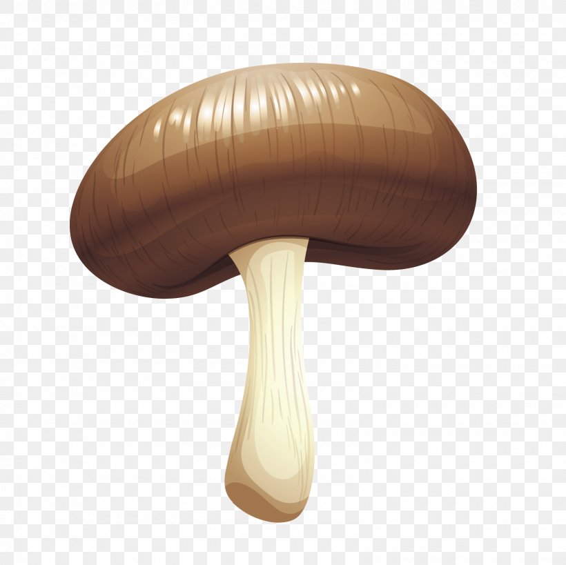 Mushroom Designer, PNG, 1600x1600px, Mushroom, Designer, Lighting, Table, Wood Download Free