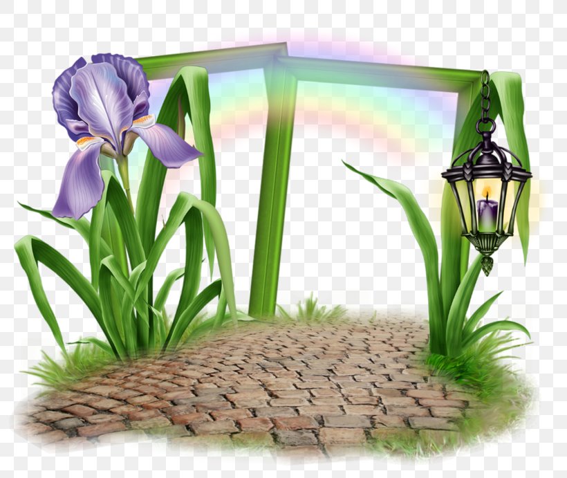 Picture Frames PhotoFiltre Clip Art, PNG, 800x691px, Picture Frames, Blog, Flower, Grass, Grass Family Download Free