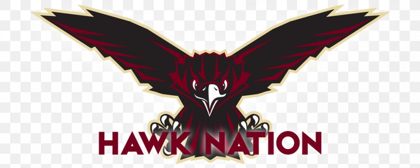 Skyhawk Logo Southridge High School Font, PNG, 1000x400px, Skyhawk, Character, Fiction, Fictional Character, Football Download Free