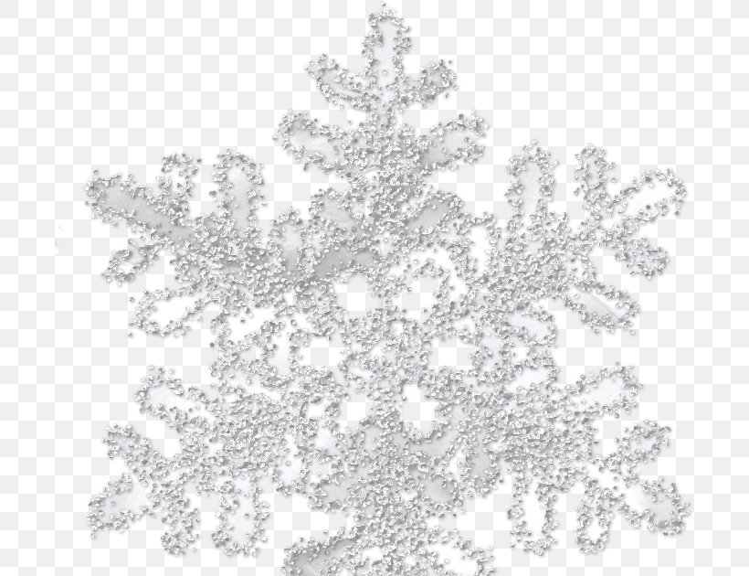 Snowflake Photography Desktop Wallpaper Clip Art, PNG, 700x630px, Snowflake, Black And White, Branch, Frost, Lace Download Free