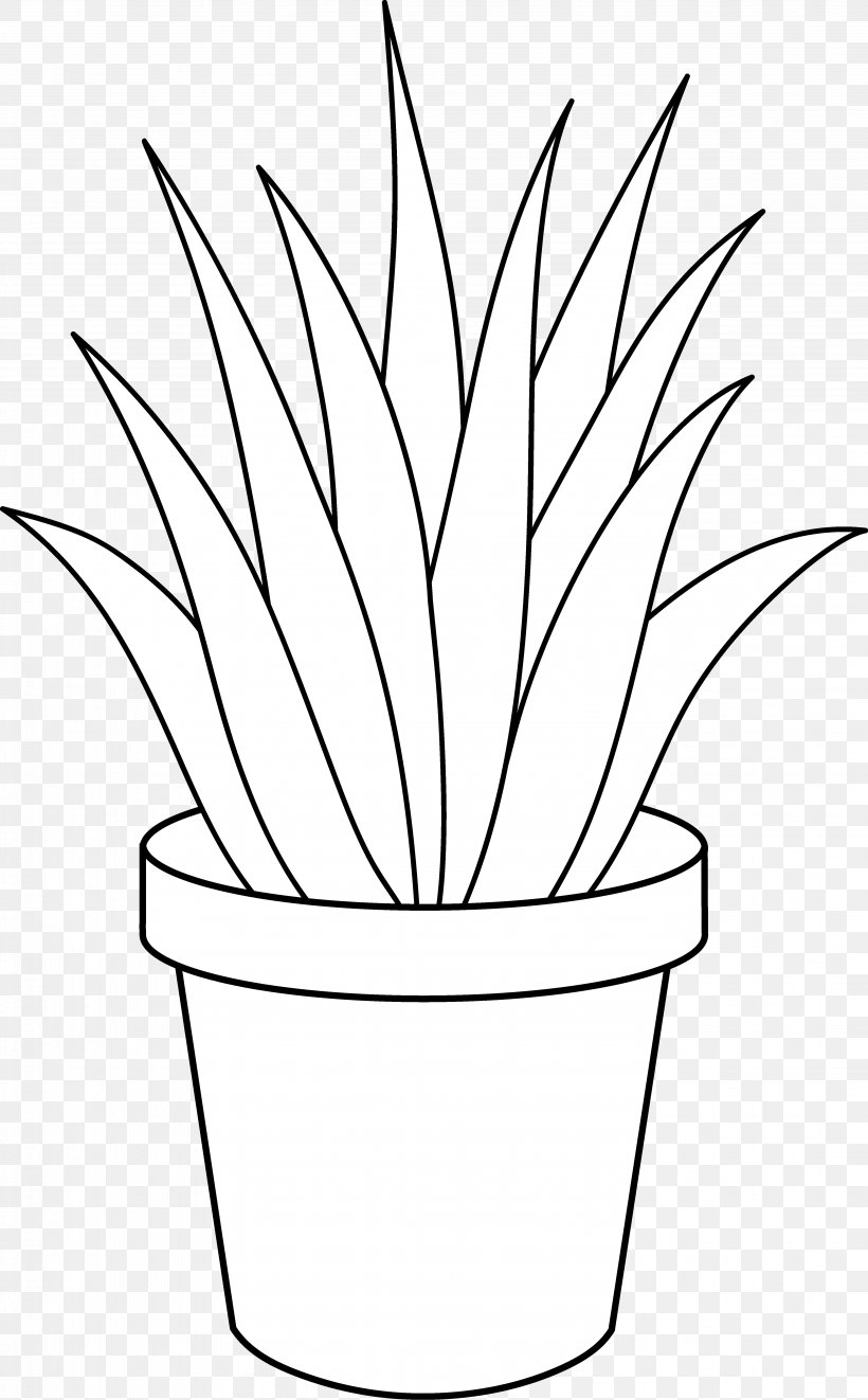 Aloe Vera Houseplant Black And White Clip Art, PNG, 4321x6969px, Aloe Vera, Agave, Aloe, Artwork, Black And White Download Free