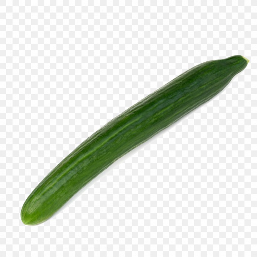 Cucumber, PNG, 1000x1000px, Cucumber, Cucumber Gourd And Melon Family, Cucumis, Gourd Order, Grass Download Free