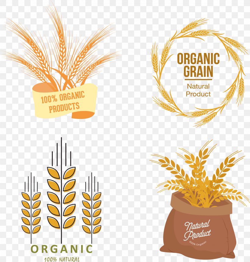 Organic Food Wheat Euclidean Vector, PNG, 2745x2876px, Organic Food, Barley, Commodity, Food, Grass Family Download Free