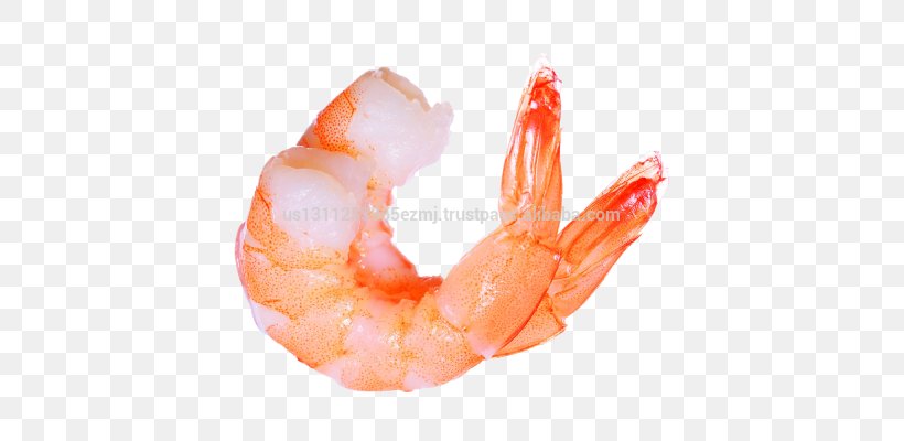Shrimp Clip Art, PNG, 400x400px, Shrimp, Animal Source Foods, Caridean Shrimp, Copying, Decapoda Download Free