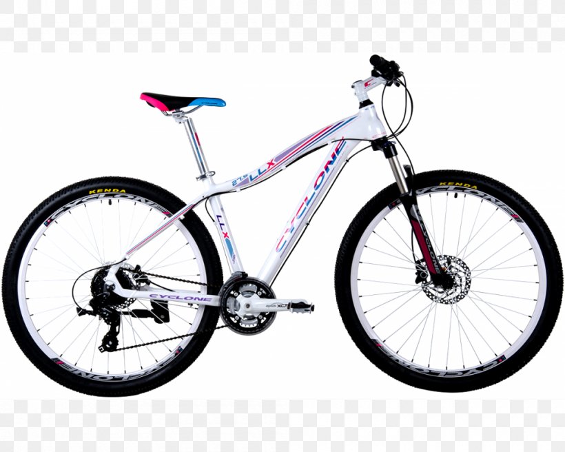 Hybrid Bicycle Mountain Bike 29er Specialized Bicycle Components, PNG, 1000x800px, Bicycle, Bicycle Accessory, Bicycle Cranks, Bicycle Drivetrain Part, Bicycle Forks Download Free