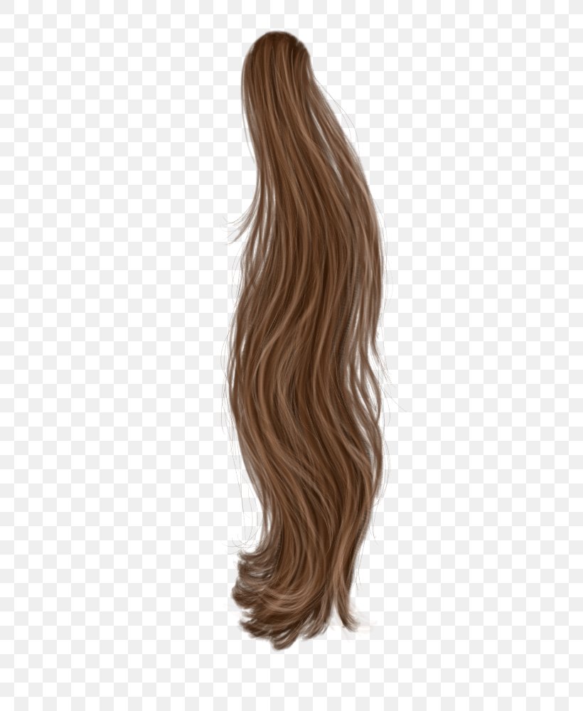 Hair/pelo PhotoScape, PNG, 400x1000px, Hair, Brown Hair, Capelli, Caramel Color, Data Conversion Download Free