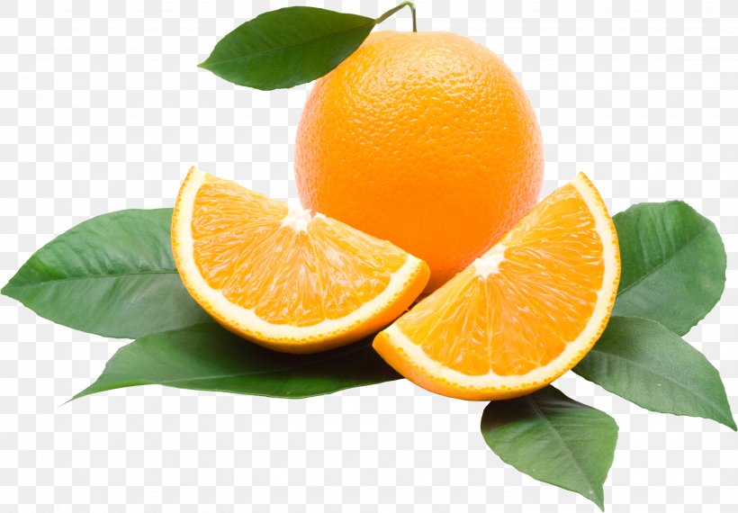 Juice Lemon Orange Calorie Tangerine, PNG, 3086x2148px, Juice, Bitter Orange, Calorie, Citric Acid, Citrus Download Free
